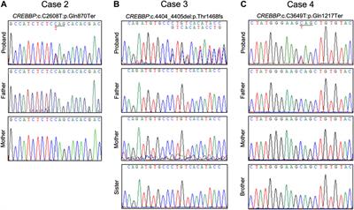 Genetic Diagnosis of Rubinstein–Taybi Syndrome With Multiplex Ligation-Dependent Probe Amplification (MLPA) and Whole-Exome Sequencing (WES): Case Series With a Novel CREBBP Variant